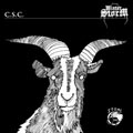 CONCENTRATION SUMMER CAMPS/WINTER STORM "SPLIT" LP *READ FIRST